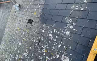 Couverture en ardoise constellée de lichen blanc et de mousse jaune, un montant d’échafaudage au premier plan